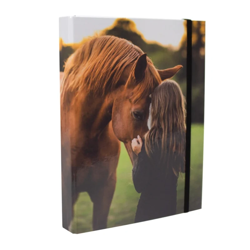 Heftbox A4 Kids Pferd - DONAU