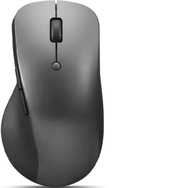 Lenovo Professional - Maus